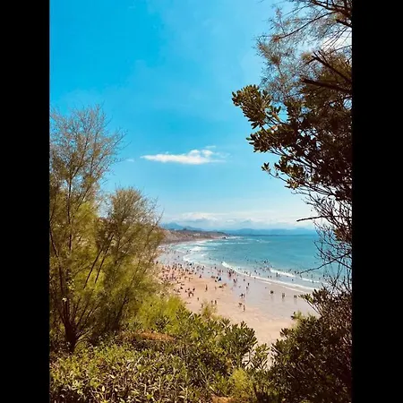 Centre Superb Fully Equipped Apartment Biarritz